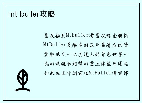 mt buller攻略